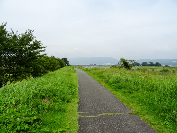 DSC05017.jpg