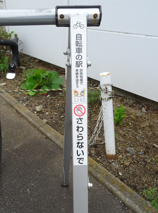 DSC05036.jpg