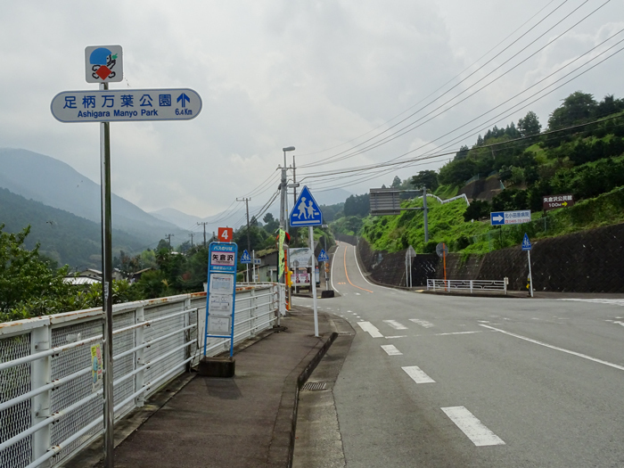 DSC05059.jpg