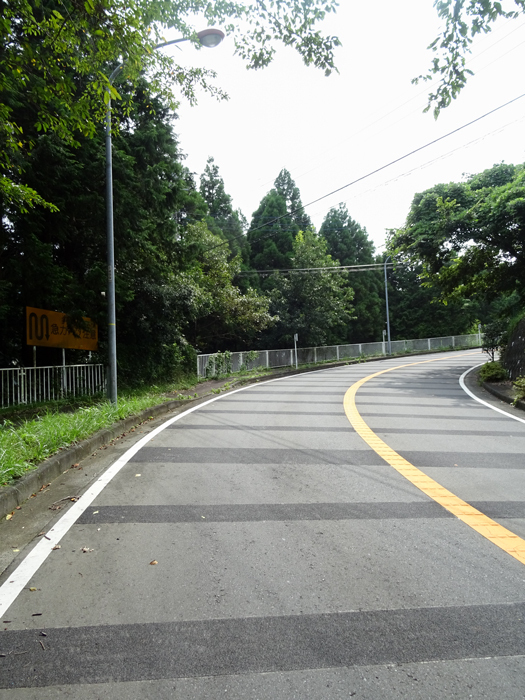 DSC05065.jpg
