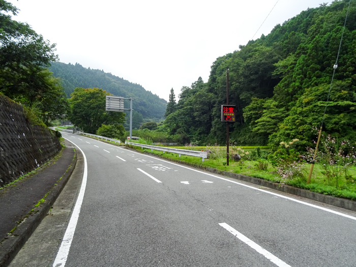 DSC05079.jpg