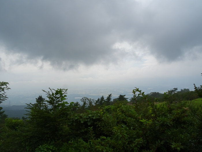 DSC05142.jpg