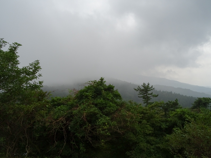 DSC05151.jpg