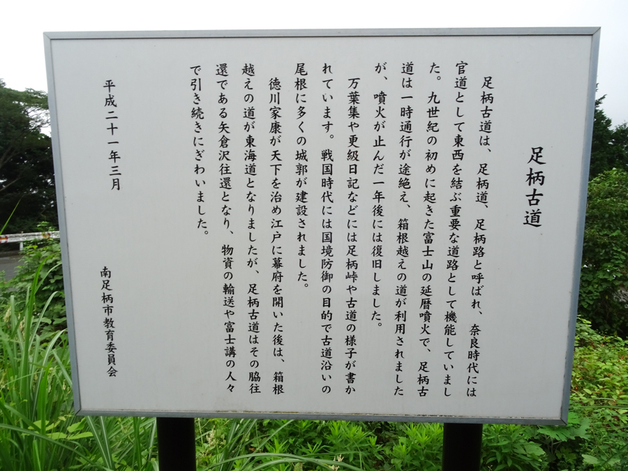 DSC05161.jpg