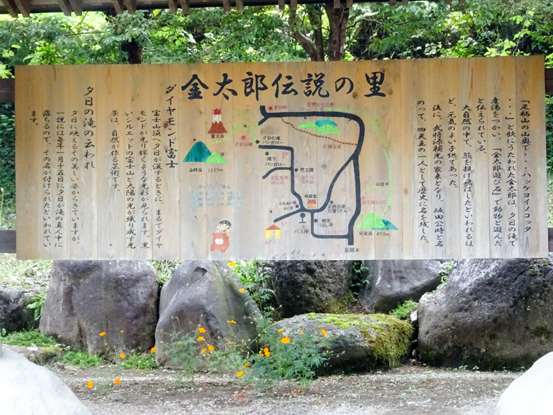 DSC05176.jpg
