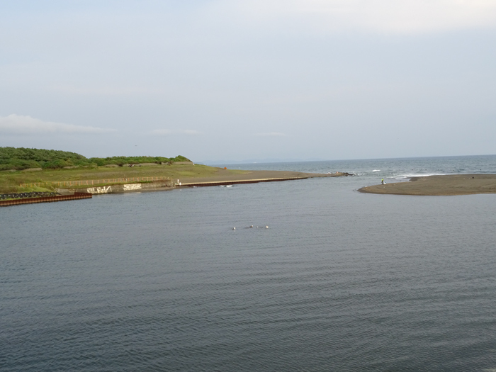 DSC05226.jpg