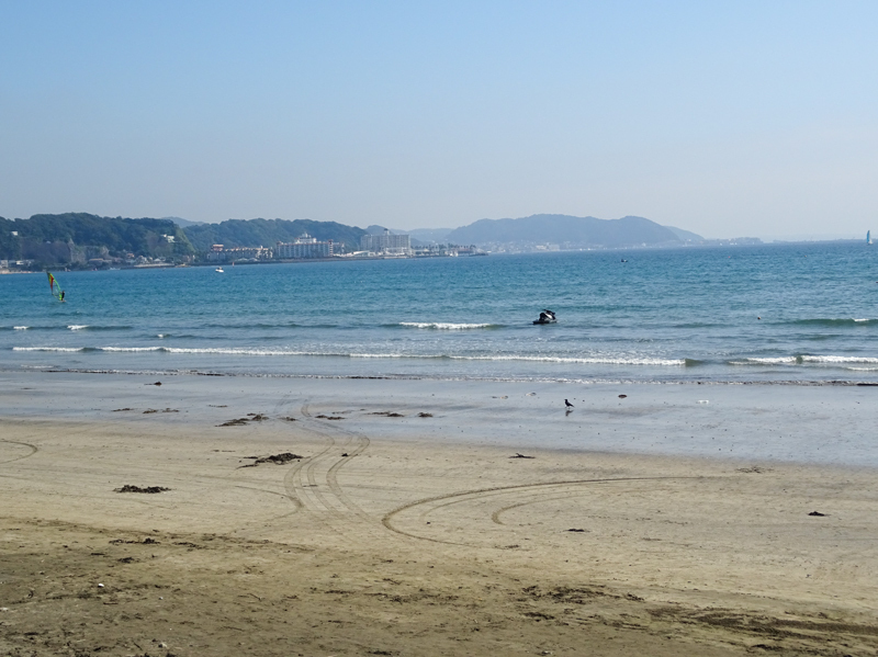 DSC05371.jpg