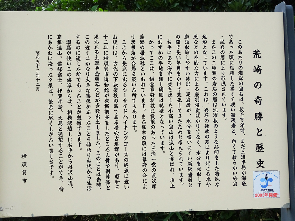 DSC05429.jpg