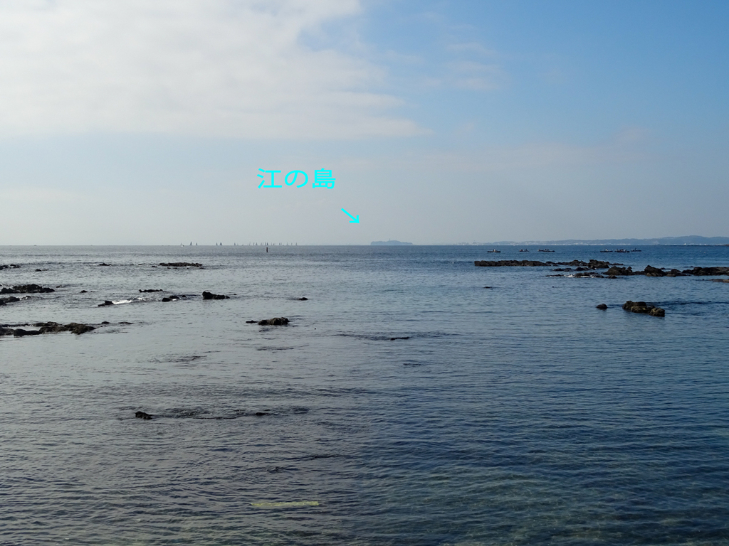 DSC05479.jpg