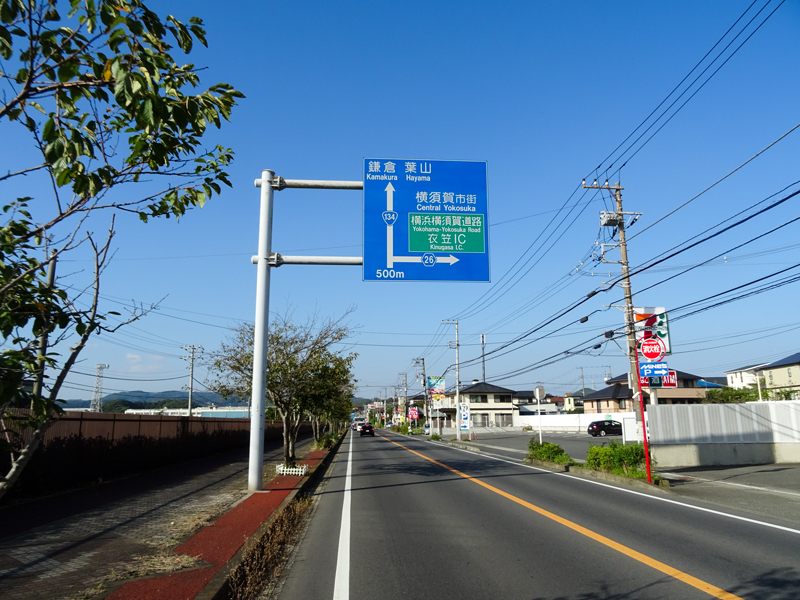 DSC05515.jpg