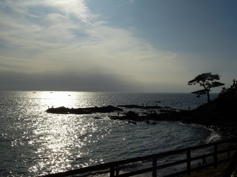 DSC05530.jpg