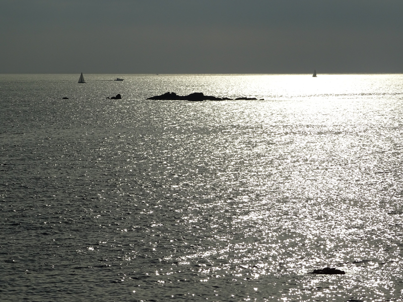 DSC05560.jpg