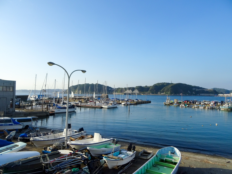 DSC05588.jpg