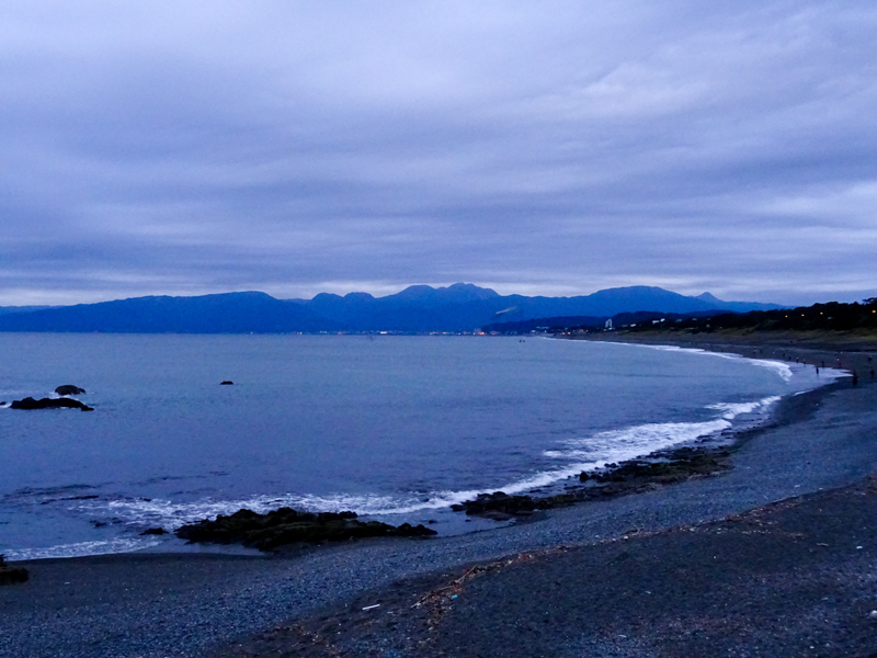 DSC05756.jpg