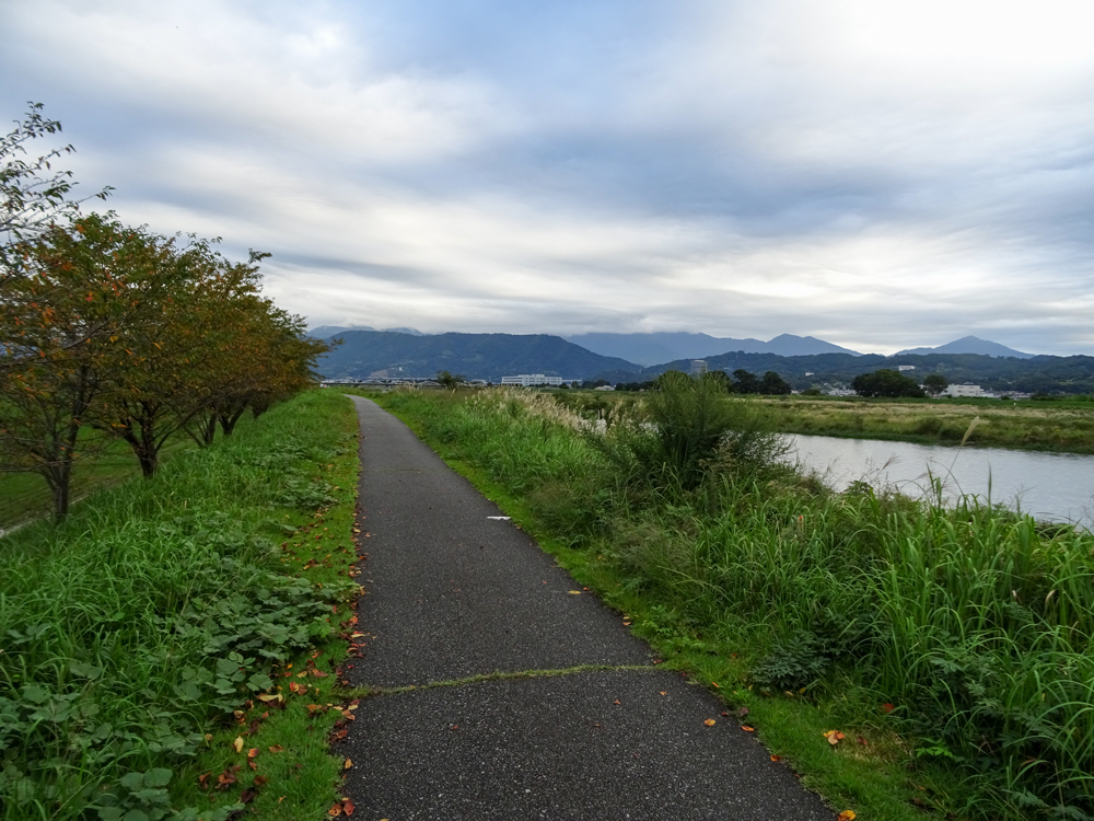DSC05833.jpg