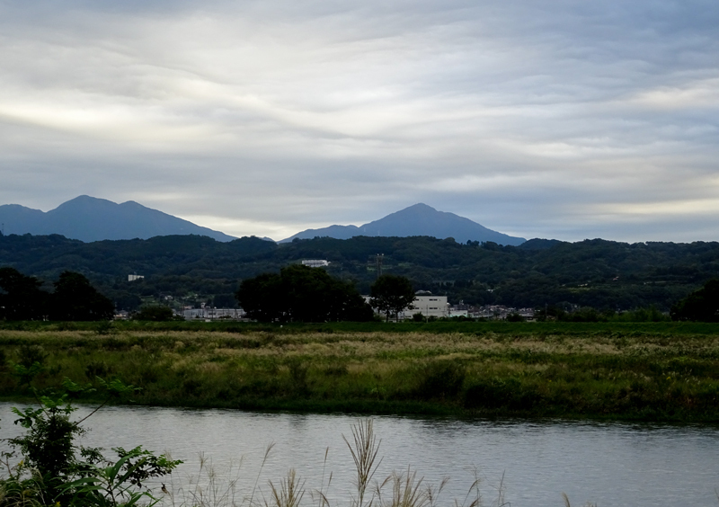 DSC05838.jpg