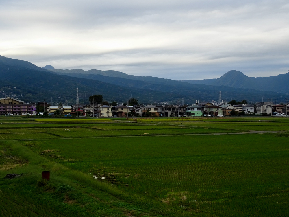 DSC05845.jpg