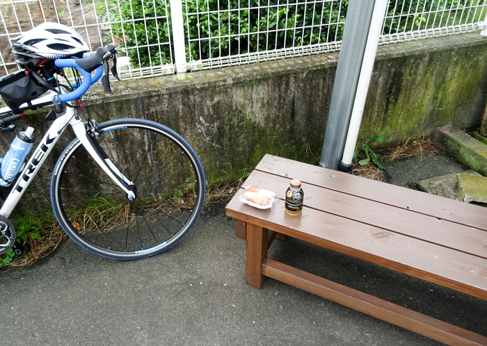 DSC05875<br />.jpg” width=”480″ height=”341″ /></a></p>
<p>この後、岩流瀬橋～北足柄小を経由してから山北町に入り、R246桶口橋付近の大野山入口へ</p>
<p><a href=
