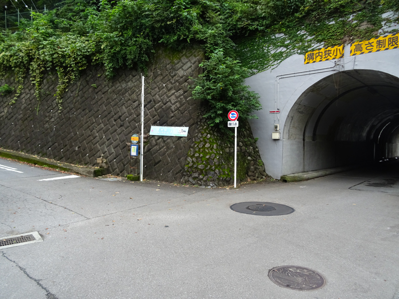 DSC05881.jpg