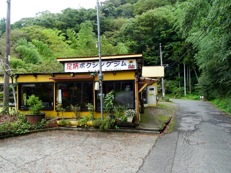 DSC05889.jpg