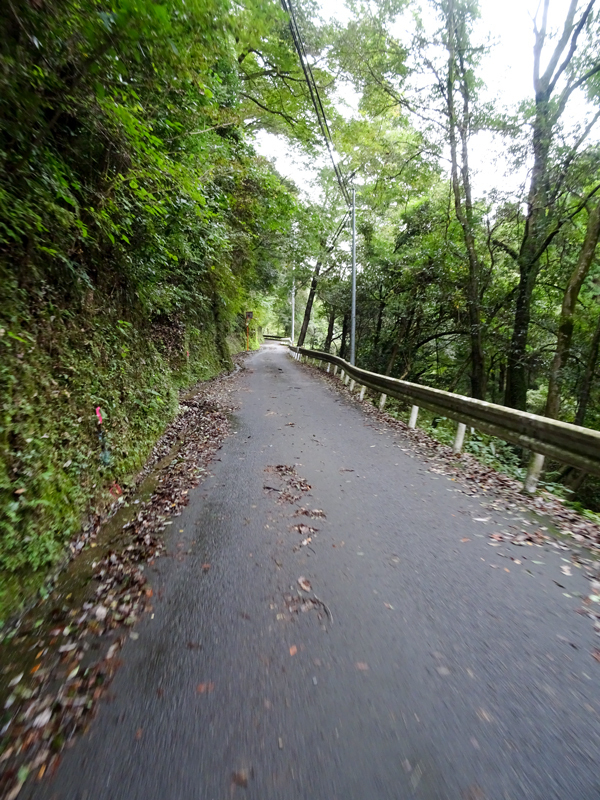 DSC05892.jpg