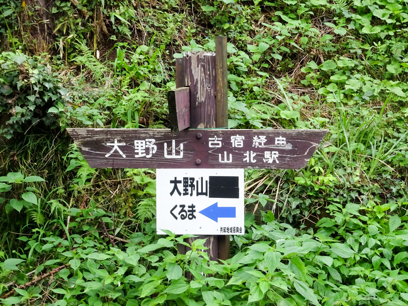DSC05904.jpg