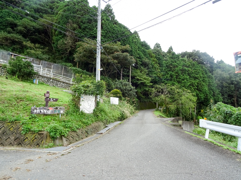 DSC05905.jpg