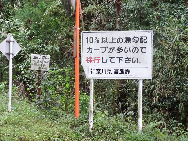 DSC05909.jpg