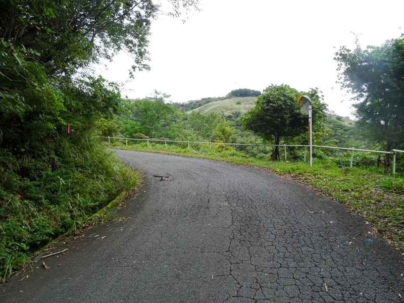 DSC05913.jpg