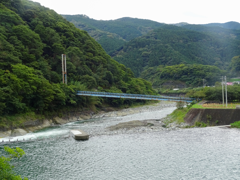 DSC06009.jpg