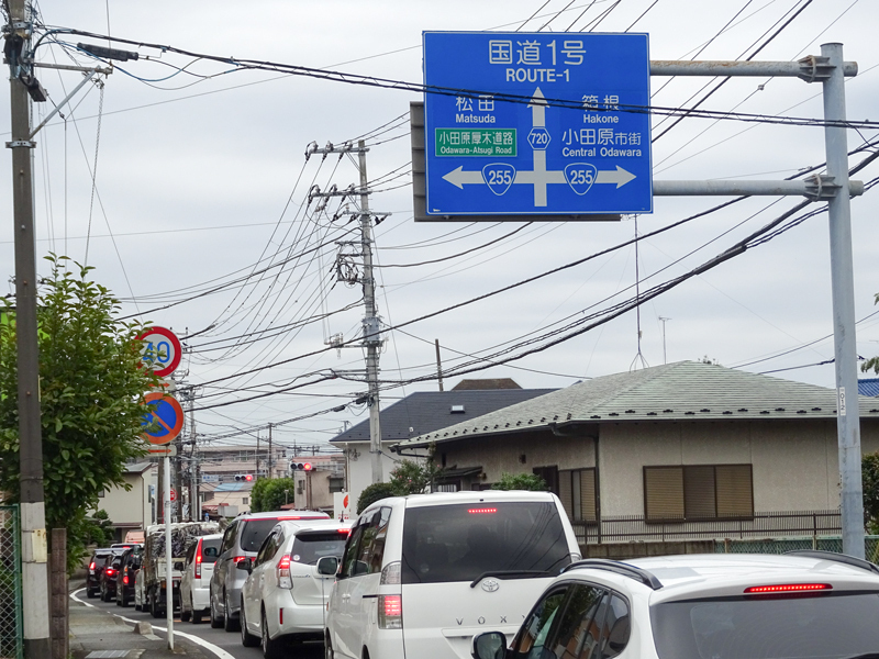 DSC06033.jpg