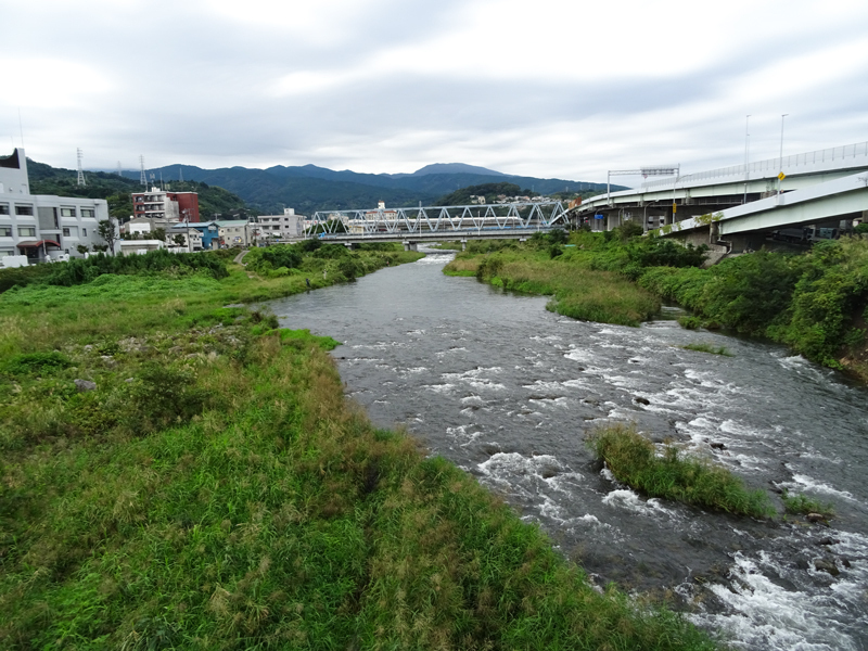 DSC06057.jpg