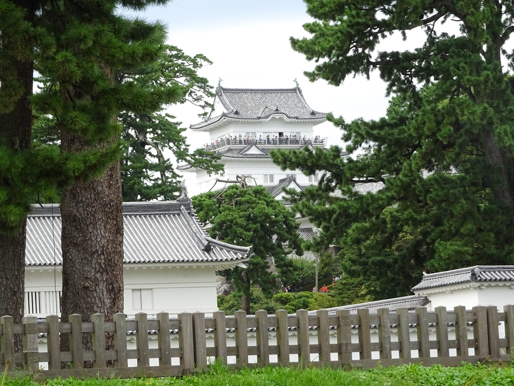 DSC06063.jpg