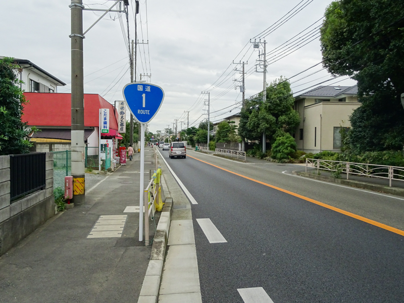 DSC06066.jpg