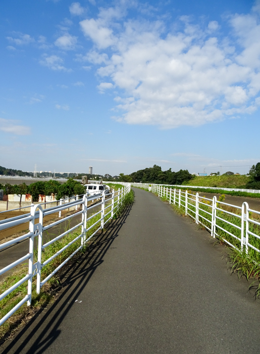DSC06081.jpg