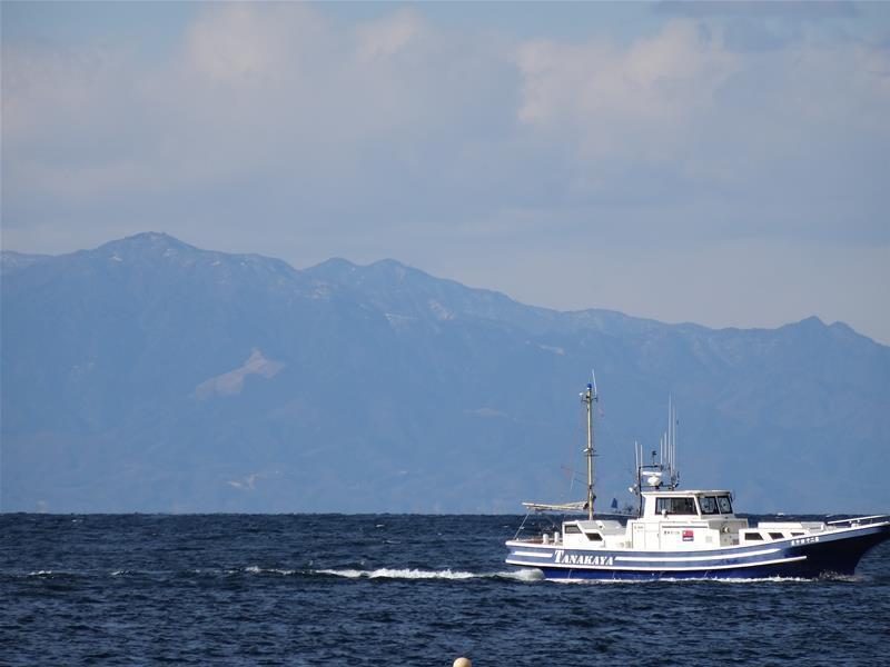 DSC06089.jpg