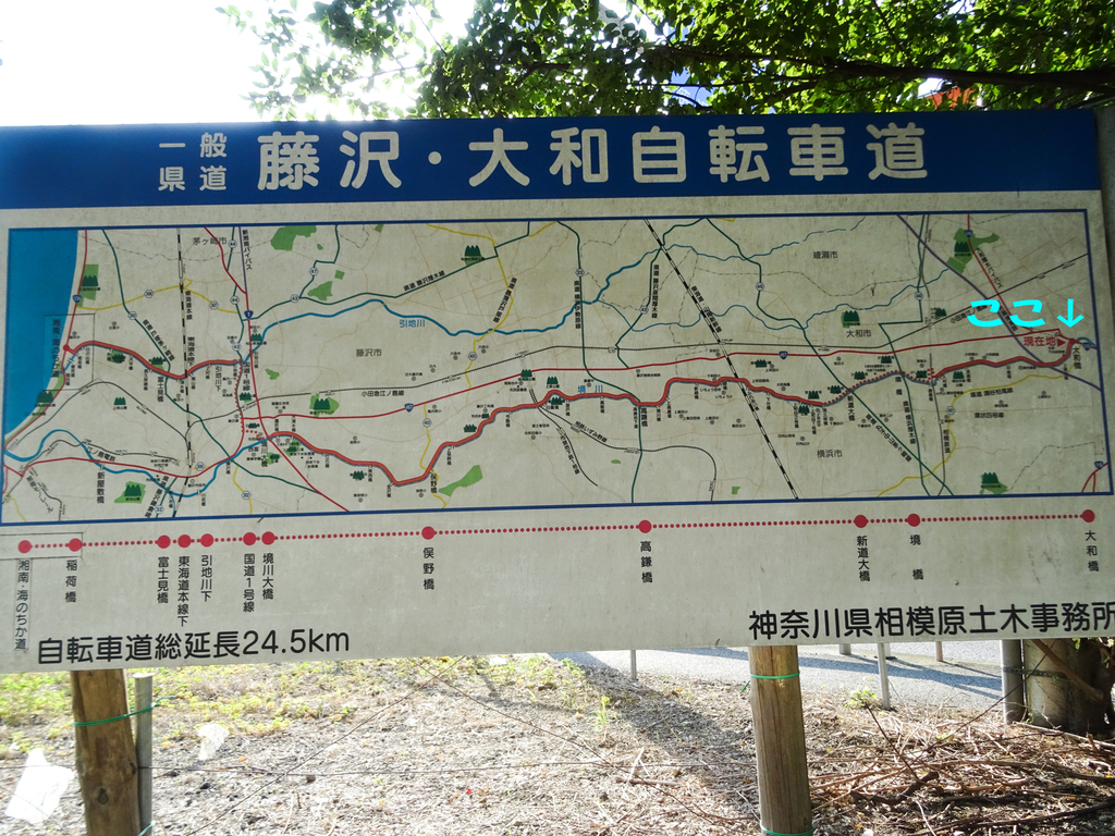 DSC06118.jpg