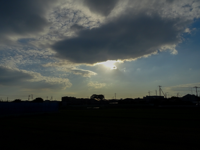 DSC06140.jpg