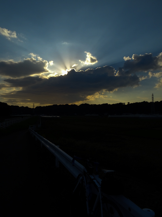 DSC06162.jpg