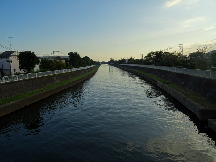 DSC06170.jpg