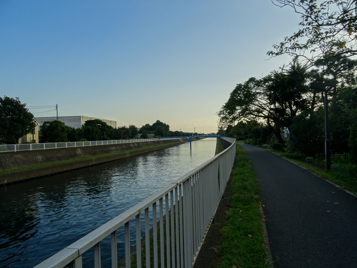 DSC06174.jpg