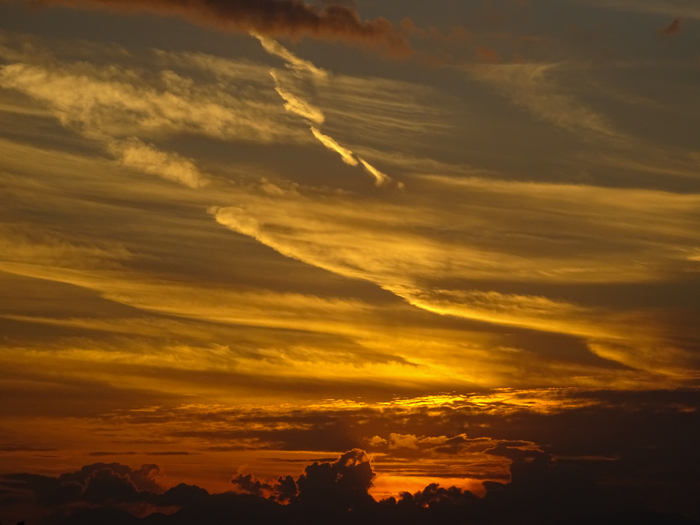 DSC06251.jpg