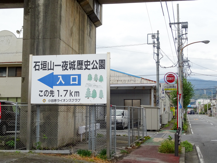 DSC06824.jpg