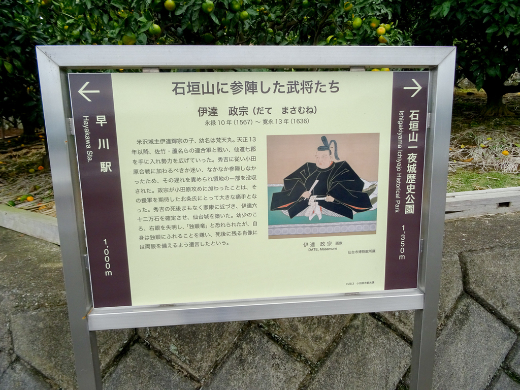 DSC06832.jpg