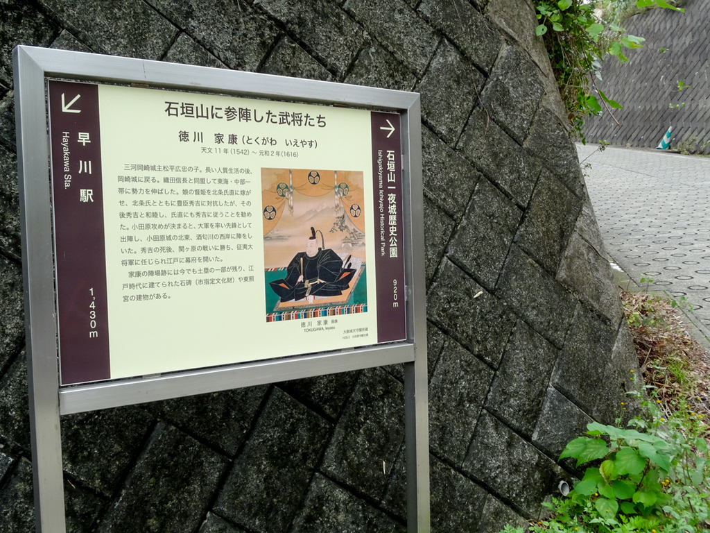 DSC06839.jpg