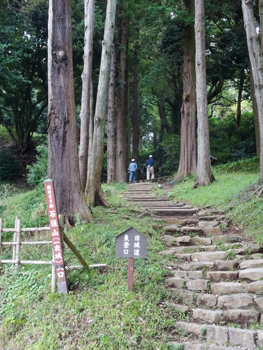 DSC06856.jpg
