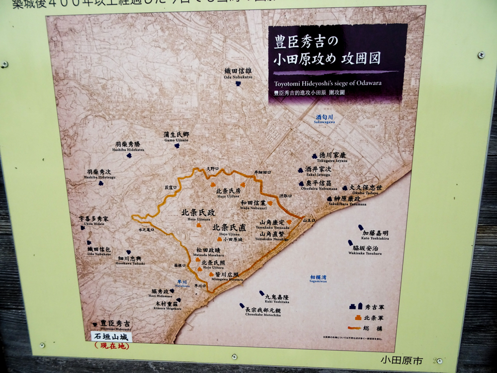 DSC06861.jpg