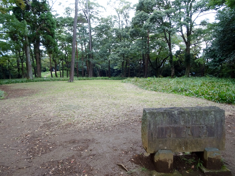 DSC06869.jpg