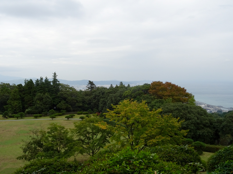 DSC06872.jpg