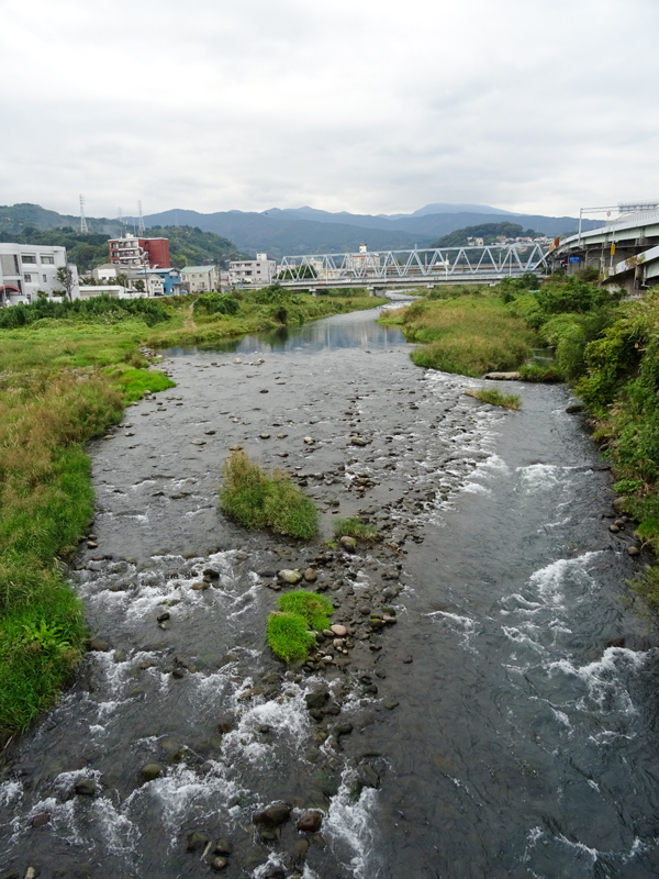 DSC06940.jpg